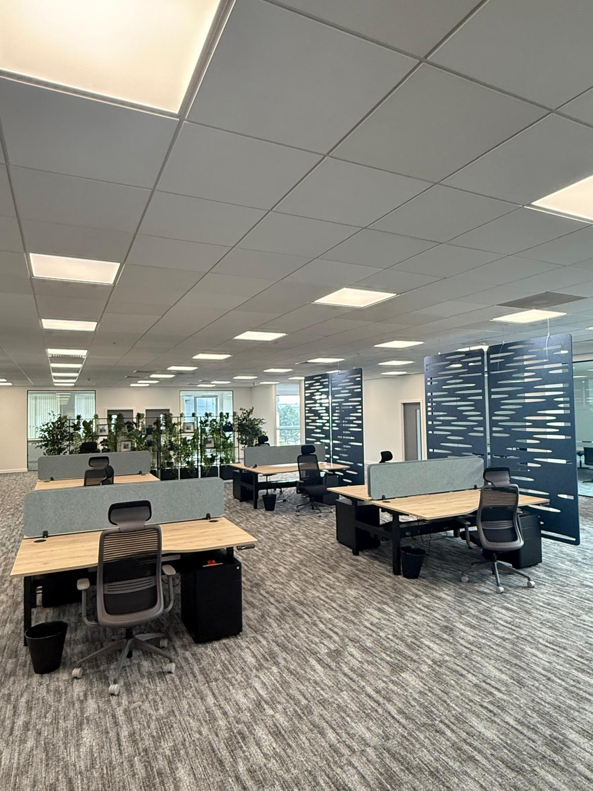 Finished sit-stand workstations with planting and navy acoustic screens