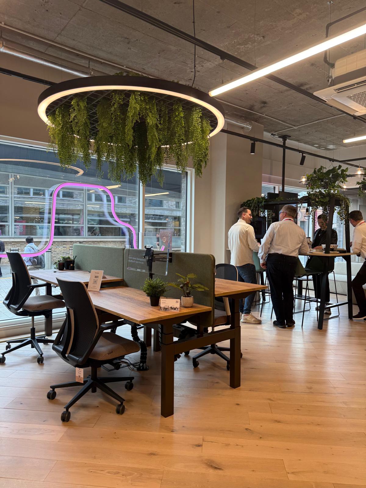 Sit-stand benching desks with acoustic screens and planting